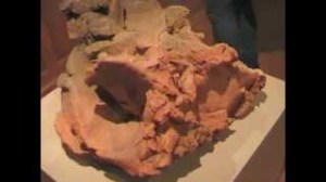 Exposition_Strates_Aulnay_2