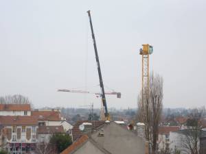 Grue_Dordain_Charcot