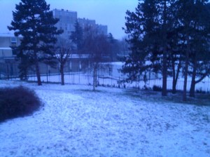 Photo_Aulnay_Neige