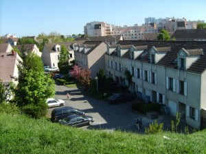 gros_Saule_Aulnay