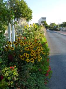 College_Pisan_Aulnay