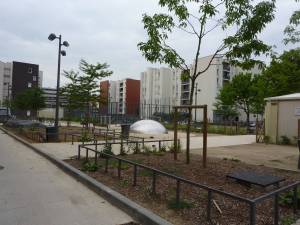 Rose_des_Vents_Amenagement_Aulnay