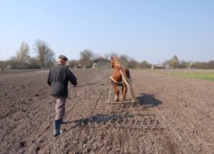 agriculteur-au-travail-labourer-la-terre