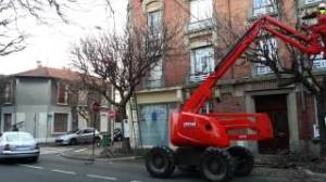 elagage_boulevard_strasbourg_aulnay