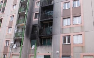 pascarel_gros_saule_aulnay