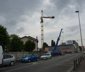 Grue_Charcot_Aulnay_1