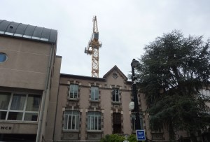 Grue_Charcot_Aulnay_2