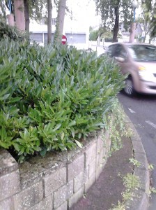 Antoine_Bourdelle_Aulnay_Circulation