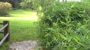 Parc_Ballanger_Aylnay_Fete