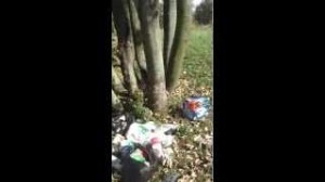 detritus_robespierre_aulnay