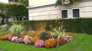 halloween_aulnay_mairie