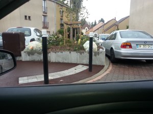 plastique_gros_saule_aulnay