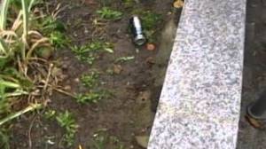 saint_sulpice_aulnay_detritus