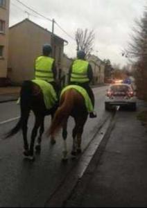 cheval_aulnay_police