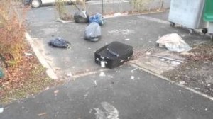 gros_saules_aulnay_ordures