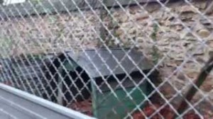 pavillon_cimetiere_aulnay