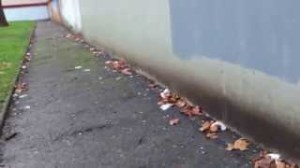 place_minerale_aulnay