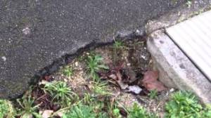 trous_quartier_mitry