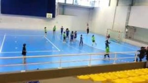 handball_aulnay_villepinte_1
