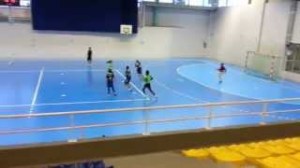 handball_aulnay_villepinte_2