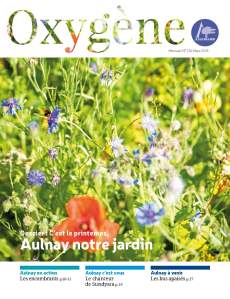 oxygne_210_-2015_Page_01