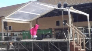 danse_orientale_aulnay