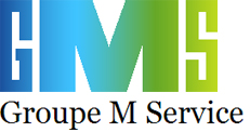 logo-groupemservice