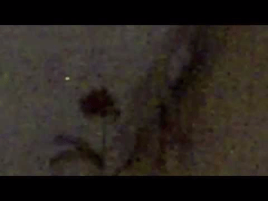 mauvais_logement_aulnay