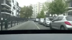 Etangs_Merisiers_Aulnay