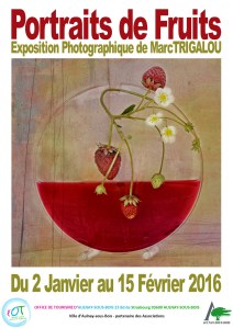 affiche Marc Trigalou