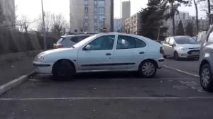 Detritus_Savigny_Aulnay