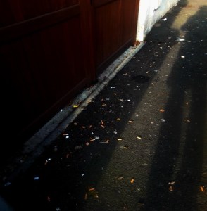 fernand_herbaut_cigarettes