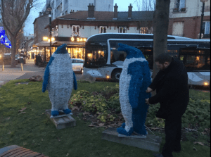 pingouins_aulnay_retrouves