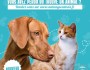 La ville d&rsquo;Aulnay-sous-Bois vous aide à retrouver votre animal domestique ou son&nbsp;propriétaire