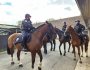 Vidéo. Des policiers à cheval à Sevran attaqués au mortier, un cheval manque de&nbsp;tomber