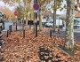 Pour Oussouf Siby, la ville d&rsquo;Aulnay-sous-Bois manque de moyens pour ramasser les feuilles&nbsp;mortes