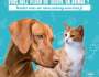 Aidez les familles à retrouver leurs animaux à Aulnay-sous-Bois