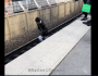 Vidéo : Un individu joue sur la voie RER B à la gare d&rsquo;Aulnay-sous-Bois !
