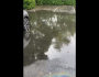 Cheickh Nguette dénonce le manque d&rsquo;entretien des égouts à Aulnay-sous-Bois et les&nbsp;inondations