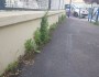 Les mauvaises herbes envahissent la ville de Drancy, Jean-Christophe Lagarde&nbsp;répond