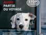 La ville d&rsquo;Aulnay-sous-Bois lutte contre les abandons d&rsquo;animaux&nbsp;domestiques