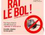 La ville d&rsquo;Aulnay-sous-Bois en a rat le bol des rongeurs&nbsp;!